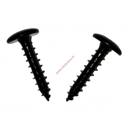 Vis penture 7X70 acier zingué noir Tête large TX30 boite de 200 vis