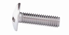 Vis poêlier inox 